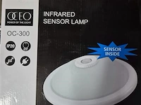 Lamp opbouw - afbeelding 1 van  1