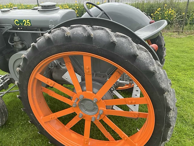 Landini tl25 oldtimer tractor - afbeelding 6 van  19