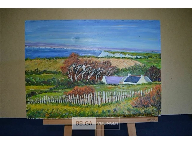 Landschap aan de kust - afbeelding 1 van  1