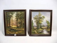 Landschap (x2) - afbeelding 1 van  12