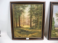 Landschap (x2) - afbeelding 5 van  12
