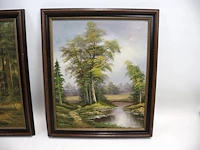 Landschap (x2) - afbeelding 9 van  12