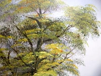 Landschap (x2) - afbeelding 10 van  12