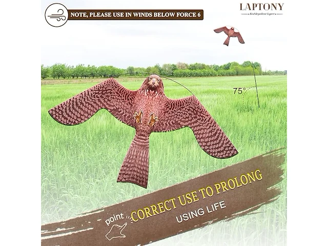 Laptony vogelverschrikker - afbeelding 4 van  5