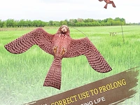 Laptony vogelverschrikker - afbeelding 4 van  5