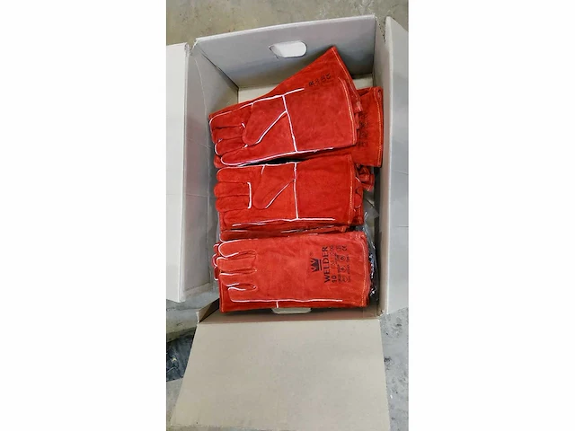 Lashandschoenenc - afbeelding 1 van  1