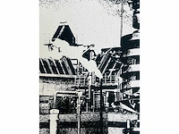 Laurent lauwers - zeefdruk - afbeelding 3 van  6