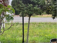 Lechustrum - afbeelding 1 van  1