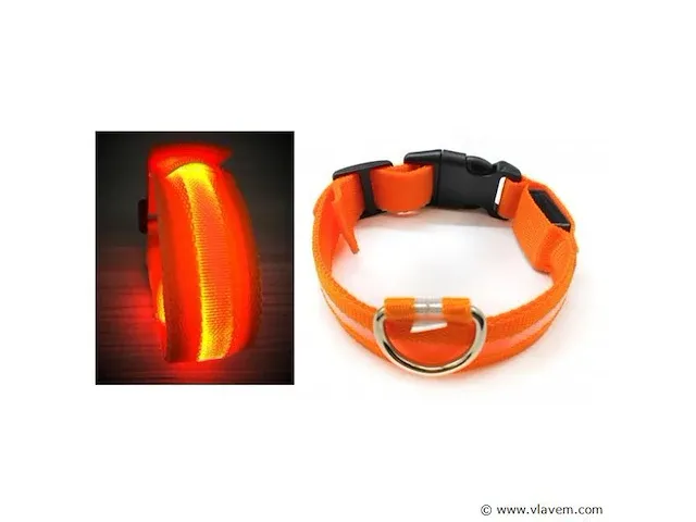 Led halsbanden voor hond, maat m- 57 cm, oranje,8 stuks - afbeelding 1 van  1