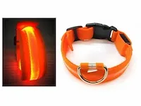 Led halsbanden voor hond, maat m- 57 cm, oranje,8 stuks - afbeelding 1 van  1