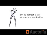 Lederen perforator met meerdere maten - afbeelding 1 van  1