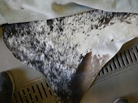 Lederen vellen + tapijt dierenhuid - afbeelding 4 van  5