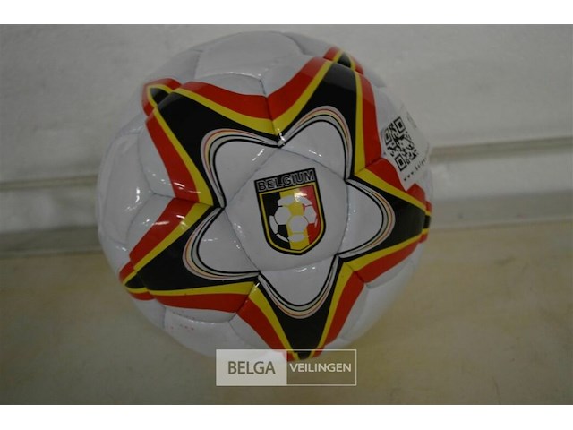 Lederen voetbal - afbeelding 2 van  2