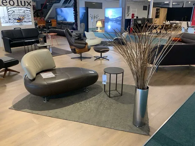 Leolux kikko design zetel - afbeelding 1 van  9