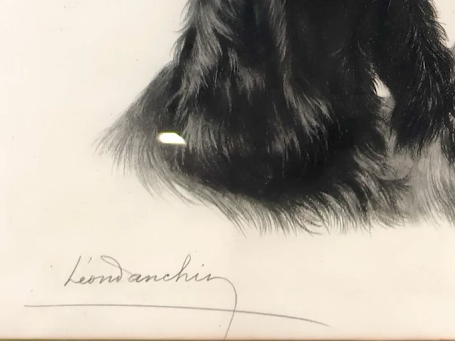 Leon d'anchin - afbeelding 3 van  6