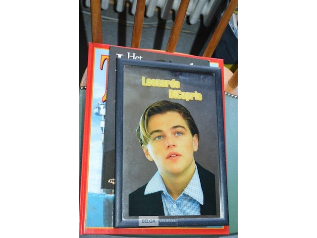 Leonardo dicaprio verzamelobjecten - afbeelding 1 van  3
