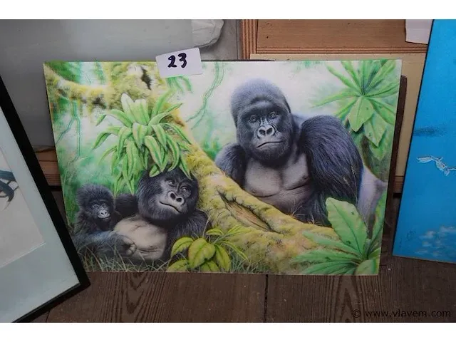 Levende foto met apen - afbeelding 1 van  1