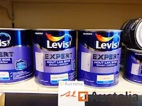 Levis satijn acryllakken - afbeelding 1 van  9