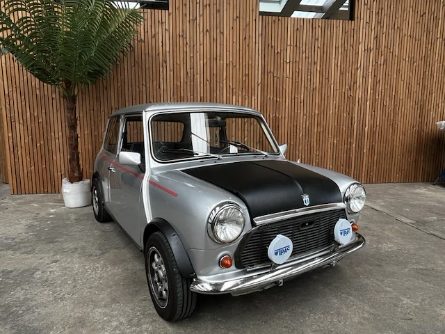 Leyland mini, 1975 - afbeelding 1 van  32