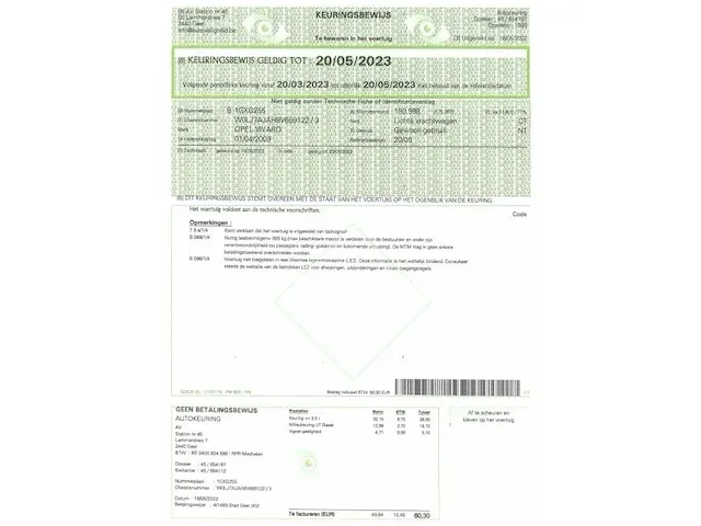 Lichte vracht opel vivaro 2,5cd 2009 - afbeelding 7 van  7