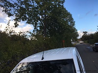 Lichte vrachtwagen - afbeelding 3 van  25