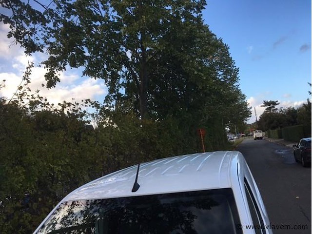 Lichte vrachtwagen - afbeelding 3 van  25