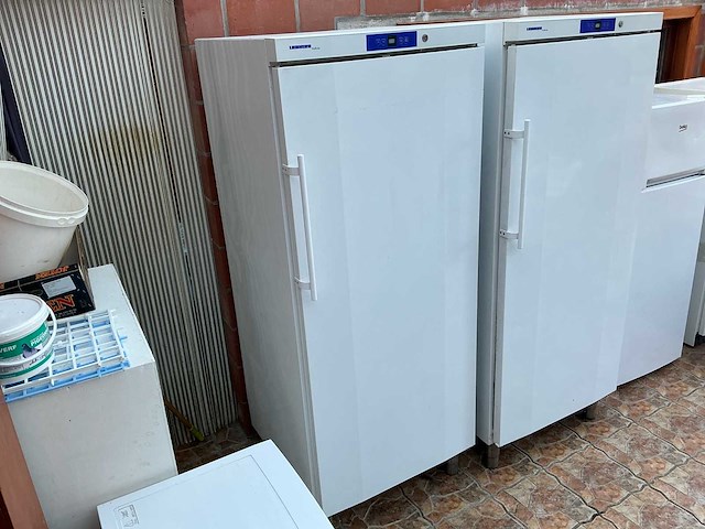 Liebherr gg5210 vriezer - afbeelding 1 van  5