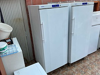 Liebherr gg5210 vriezer - afbeelding 1 van  5