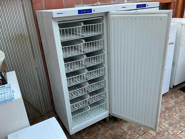 Liebherr gg5210 vriezer - afbeelding 3 van  5