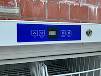 Liebherr gg5210 vriezer - afbeelding 4 van  5