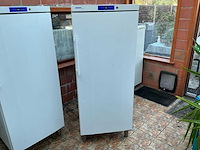 Liebherr gg5210 vriezer - afbeelding 1 van  5