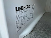 Liebherr gg5210 vriezer - afbeelding 4 van  5