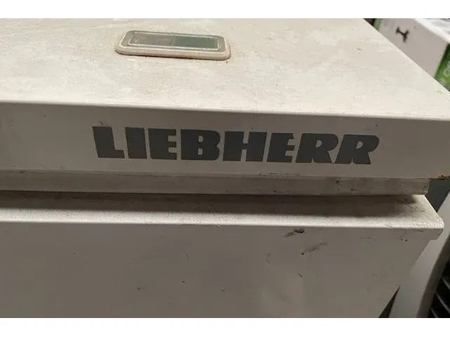 Liebherr kofferdiepvries - afbeelding 6 van  6