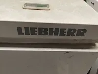 Liebherr kofferdiepvries - afbeelding 6 van  6