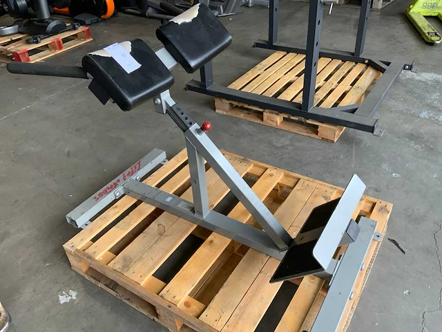 Life fitness hyper extension bench krachtstation - afbeelding 1 van  4