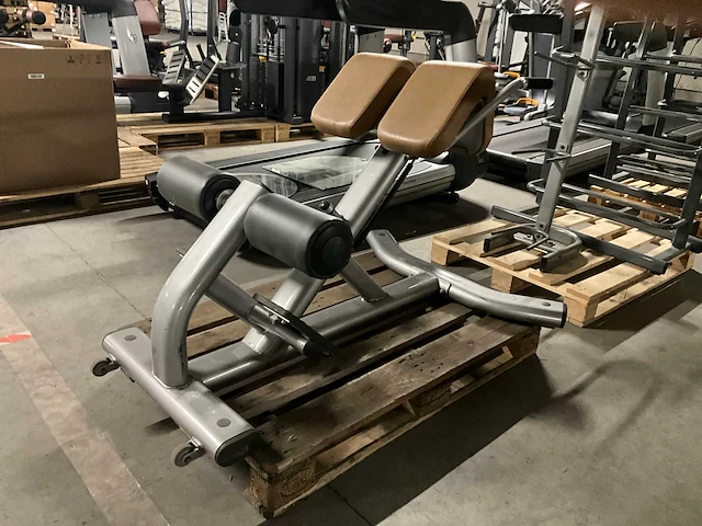 Life fitness lower back bench krachtstation - afbeelding 3 van  9