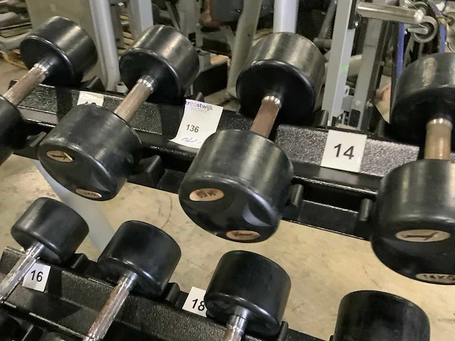 Life maxx dumbbell set 2 oplopend 12kg t/m 20kg krachtstation - afbeelding 4 van  7