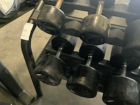 Life maxx dumbbells met rek set 16;42;44;46;48;50kg krachtstation - afbeelding 4 van  5