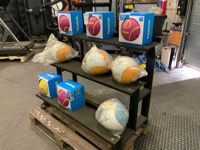Life maxx medicine ball met rek krachtstation - afbeelding 1 van  8