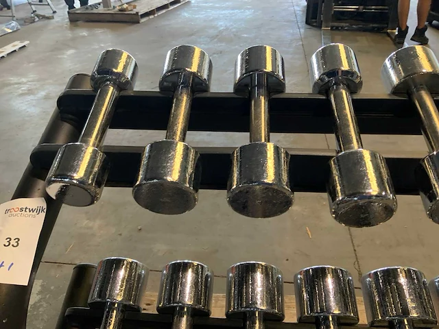 Lifemaxx chrome dumbells mix krachtstation - afbeelding 4 van  8