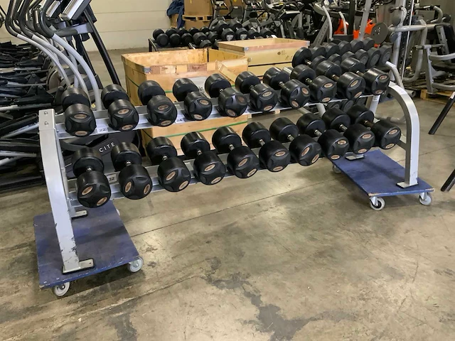 Lifemaxx dumbbell set 22kg t/m 40kg krachtstation - afbeelding 3 van  10