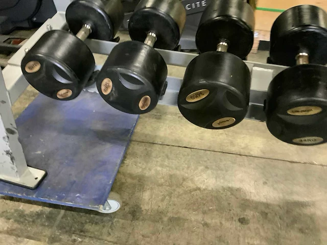 Lifemaxx dumbbell set 22kg t/m 40kg krachtstation - afbeelding 9 van  10