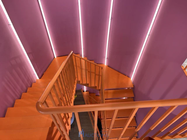 Light fest - afbeelding 7 van  8