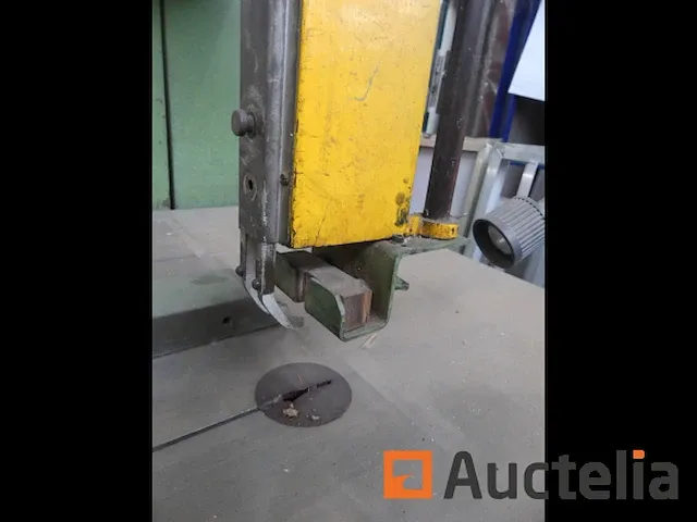 Lintzaag guillet mod - afbeelding 5 van  24