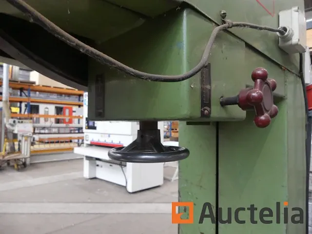 Lintzaag guillet mod - afbeelding 7 van  24