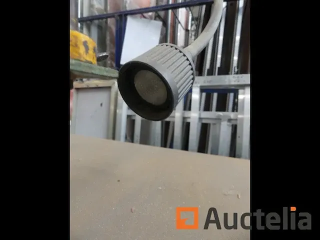 Lintzaag guillet mod - afbeelding 9 van  24