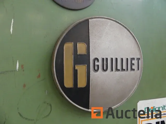Lintzaag guillet mod - afbeelding 11 van  24