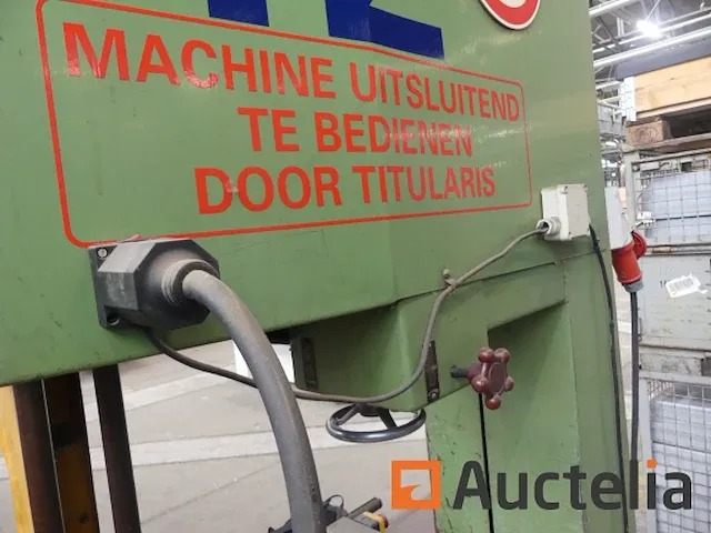 Lintzaag guillet mod - afbeelding 12 van  24