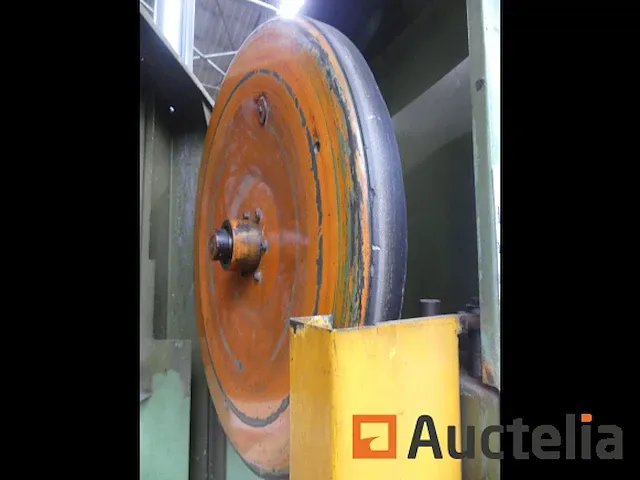 Lintzaag guillet mod - afbeelding 19 van  24