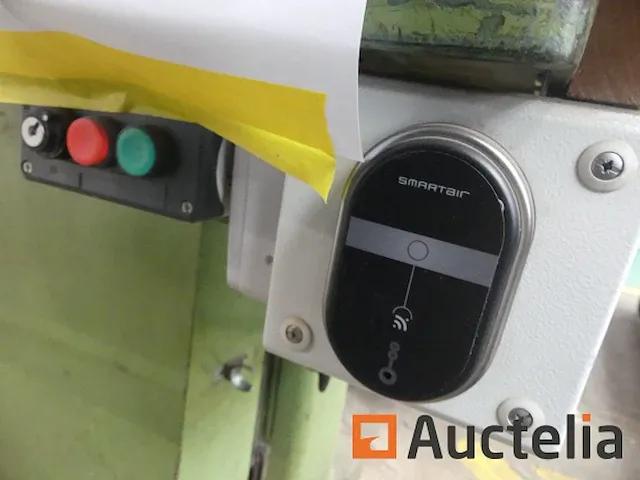 Lintzaag guillet mod - afbeelding 21 van  24